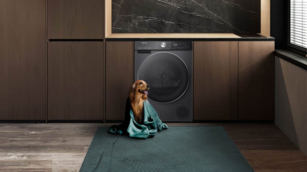 Hisense DH5S102BB | 5S Series 10kg Premium Black Heat Pump Tumbler Dryer hero image