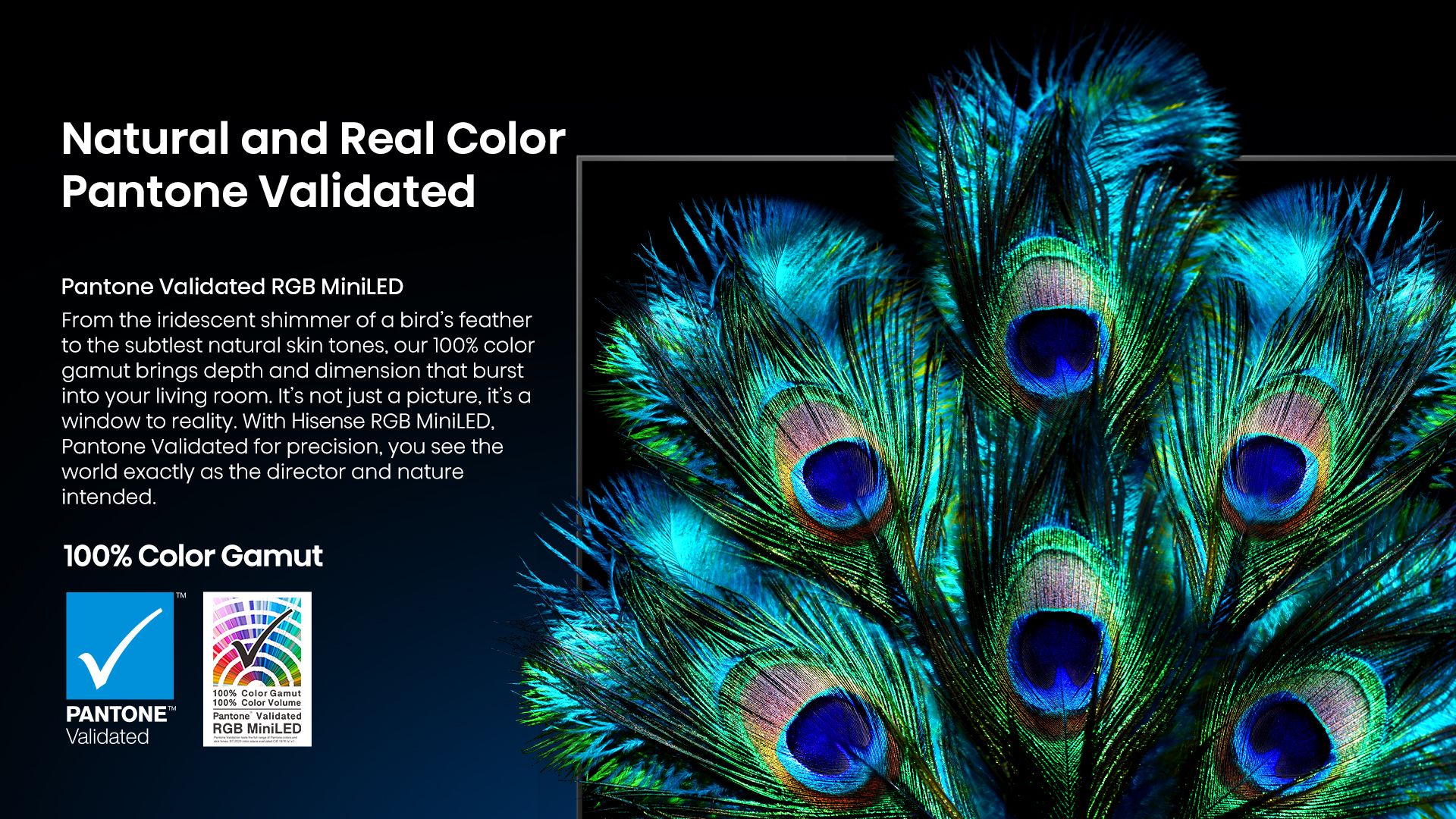 Hisense 75UR9S | 75″ 180Hz Hi-View AI Engine RGB MiniLed TV feature banner