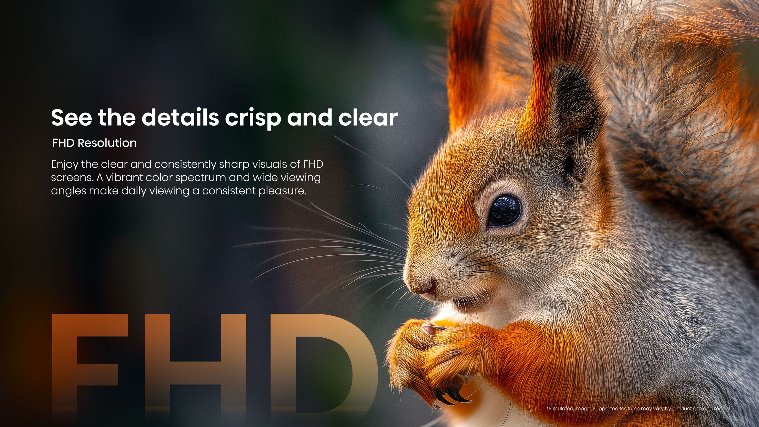 Hisense Q5S | 43″ 2K QLED TV feature banner