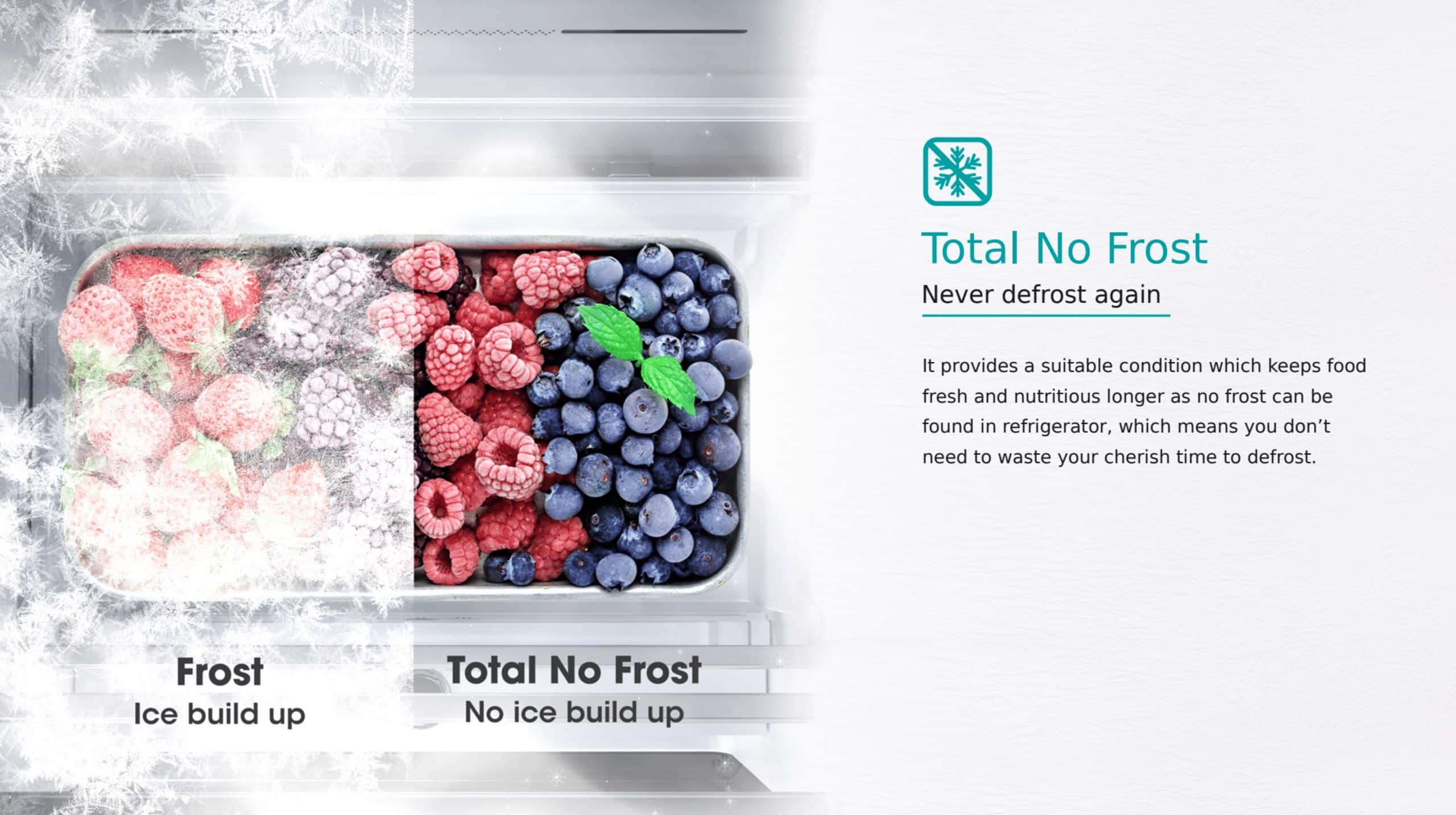 Hisense H365BBL-WD | Bottom Mount Refrigerator feature banner