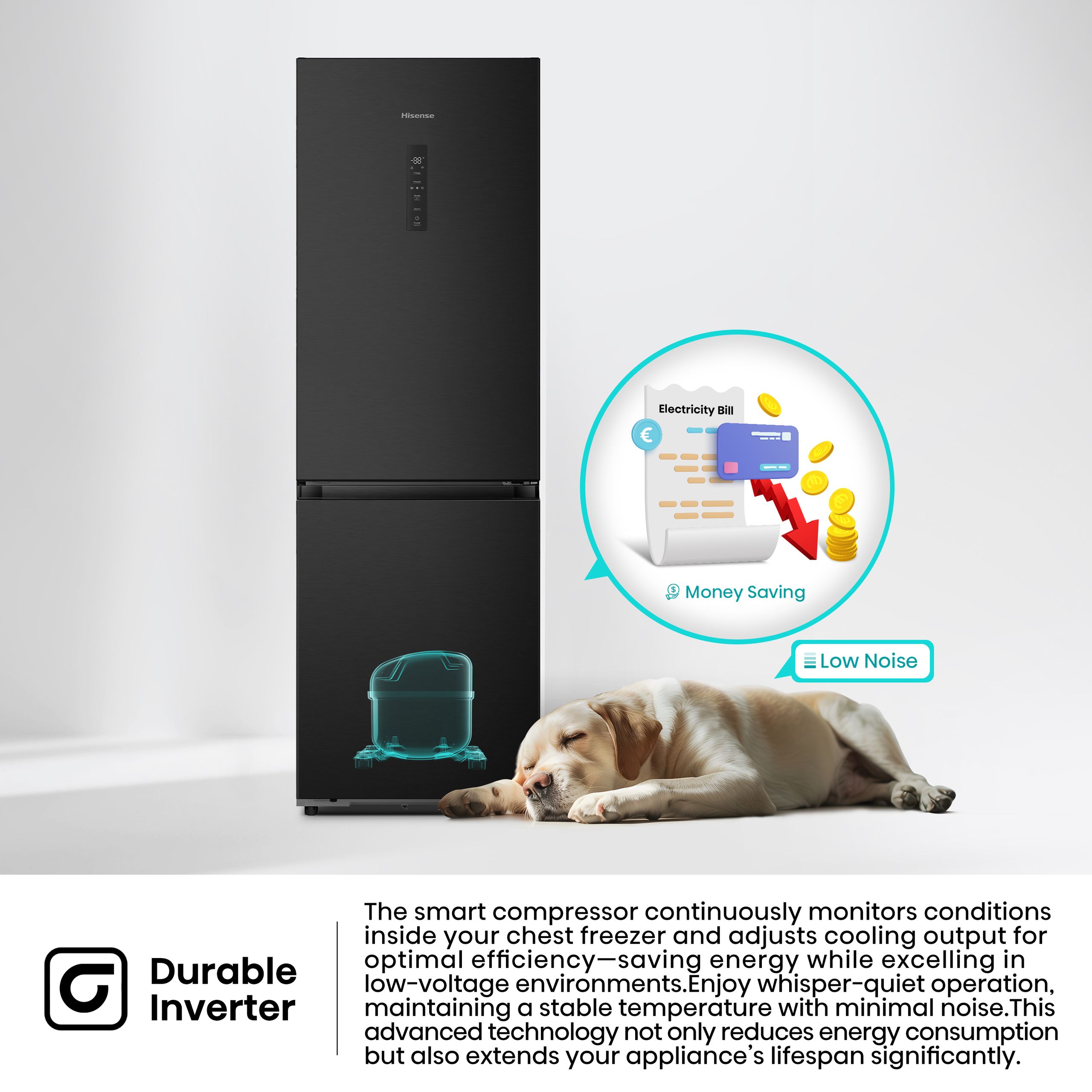 Hisense H460BBLF | KitchenFit Single Door Refrigerator feature banner
