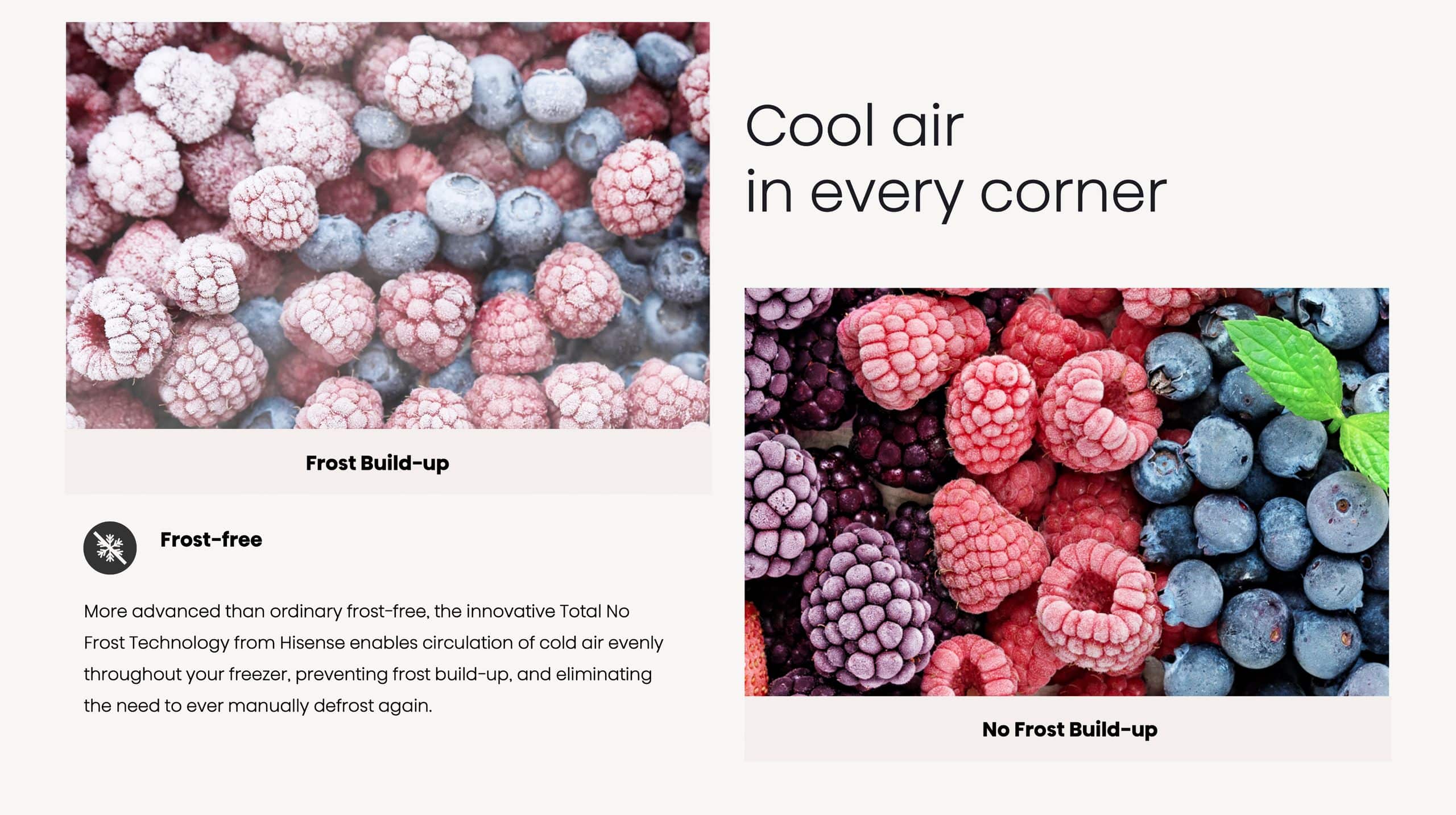 Hisense H630BBL-WD | Bottom Mount Refrigerator feature banner